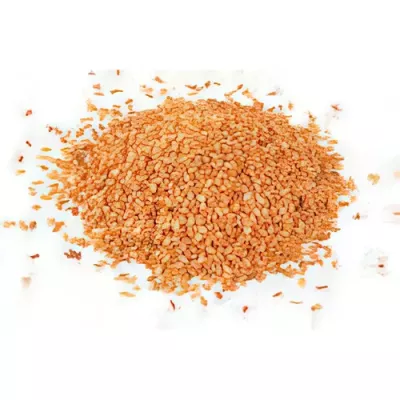Golden sesame seeds (Sesamum indicum)