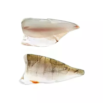 Wild-caught Perch Fillet skin-on