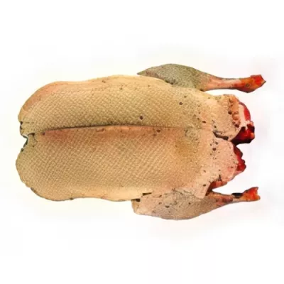 Headless hunted mallard duck