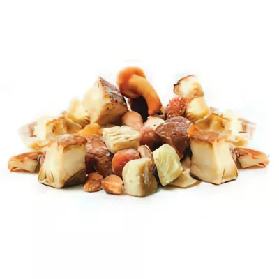 Wild mushroom mix with porcini (Boletus edulis)