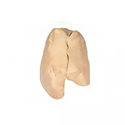 Goose foie gras, terrine selection