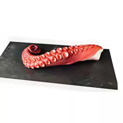 Cooked Octopus Tentacle M 50/110