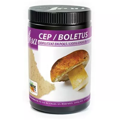 Freeze-dried porcini mushroom powder