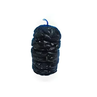 Adriatic Mussel