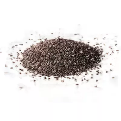 Organic black quinoa (Chenopodium quinoa)