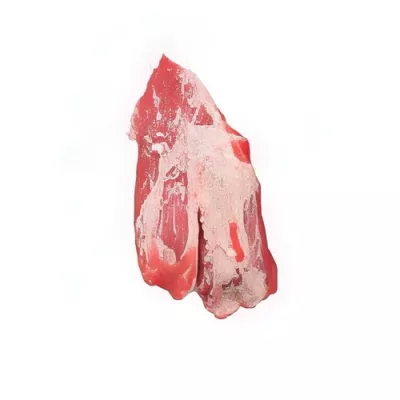 Tapilla of Duroc pig