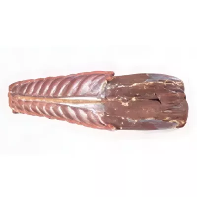 Hunted wild rabbit saddle