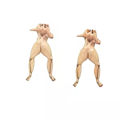 Fresh Gutted Frogs stretched