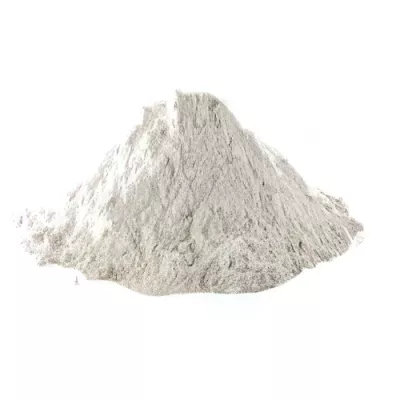 Organic soft wheat flour type 0 W 180–260