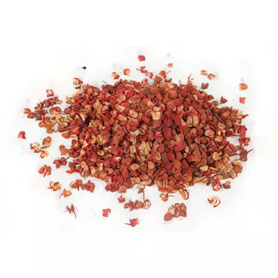 Sichuan red pepper (Zanthoxylum bungeanum)