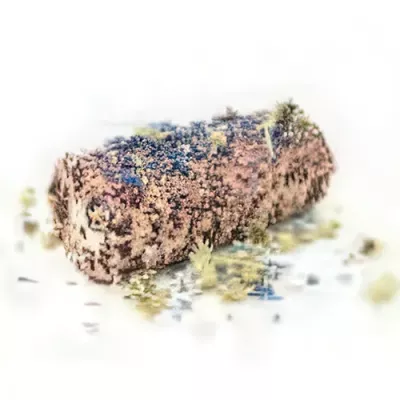 Fiorito