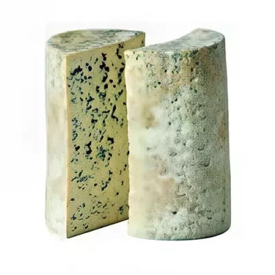 Fourme d'Ambert PDO
