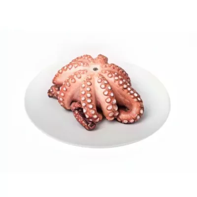 Cooked Octopus s/v
