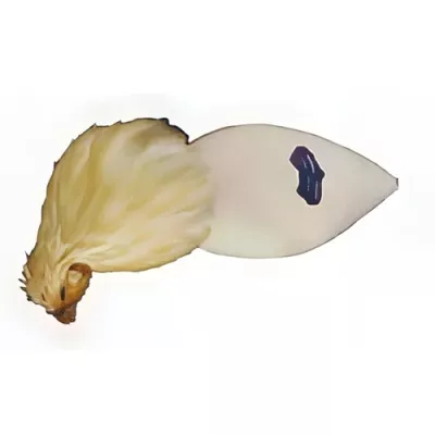 DOP Bresse capon