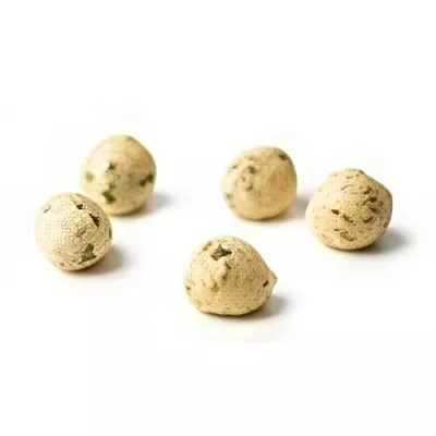 Seaweed Fritter