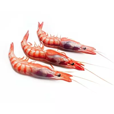 Violet Prawn "III"