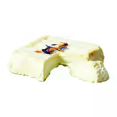 Carré de Saint Victor