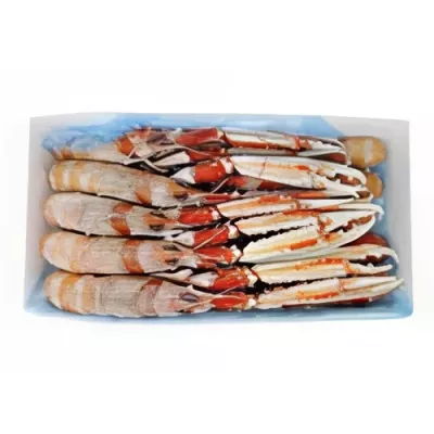 Porcupine Langoustines