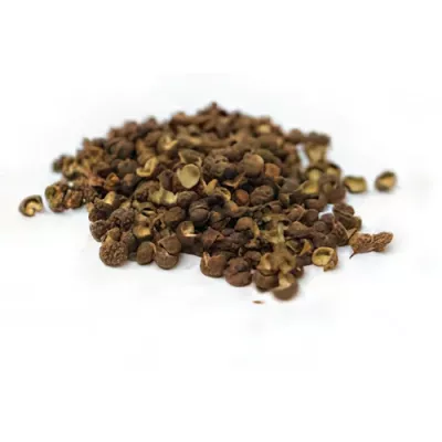Sichuan green pepper (Zanthoxylum armatum)