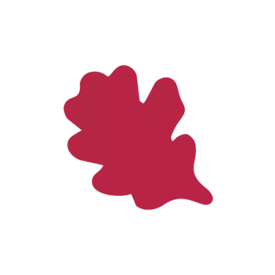 Inspiration Raspberry chocolate oak leaf