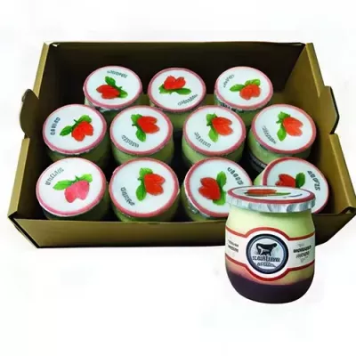 Strawberry Yogurt Organic