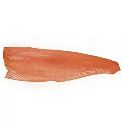 Fresh Salmon Fillet