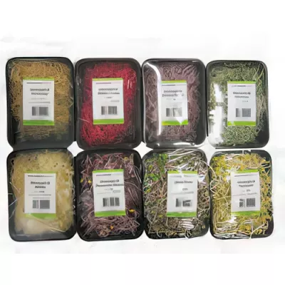 Mixed microgreens selection