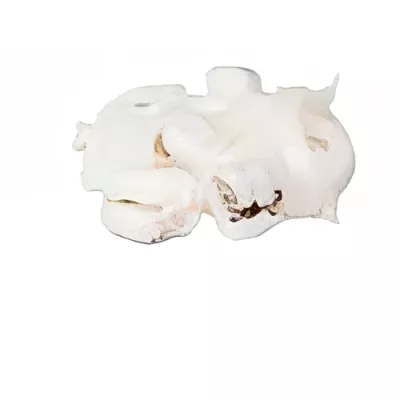 Cuttlefish Tagliatelle (frozen)