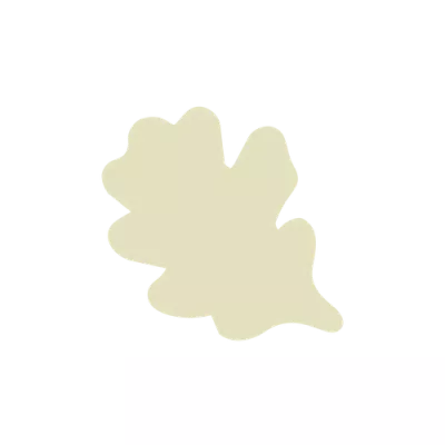 Opalys 33% white chocolate oak leaf