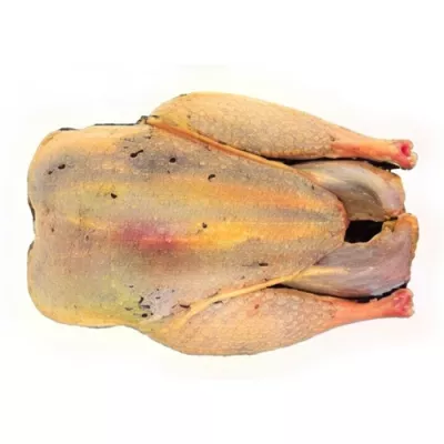 Headless pheasant