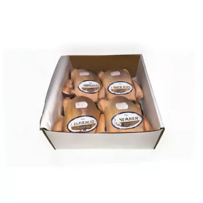 Green imperial pigeon