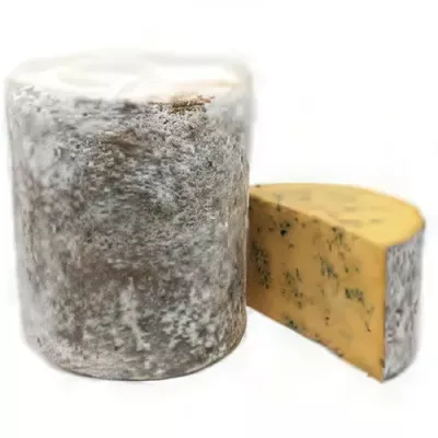 Blue Shropshire