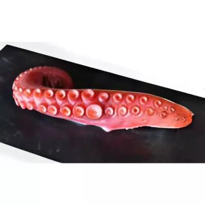 Cooked Octopus Tentacle L 110/180