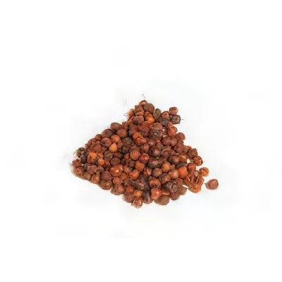 Pondicherry red pepper (Piper nigrum)