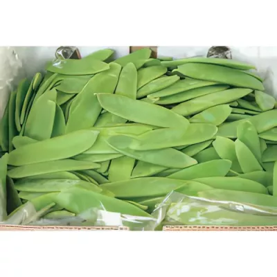 Mangetout (snow peas) (Pisum sativum)