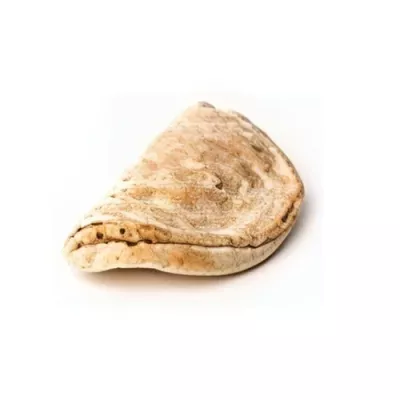 Panventaglio