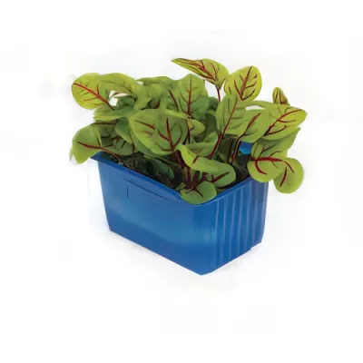 Vene single cress selection