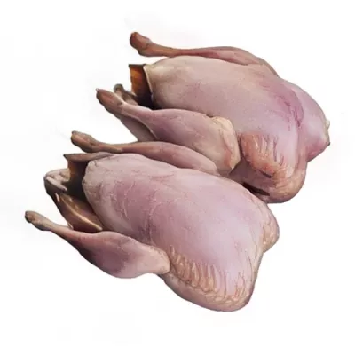 Headless hunted partridge