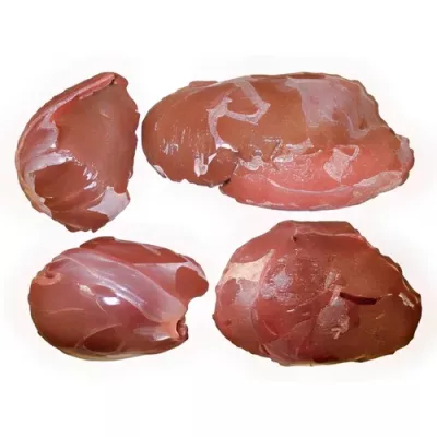 deboned leg cut in 4 of hunted deer