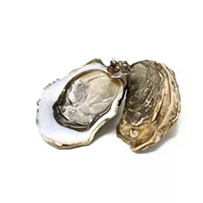 Super Spéciale Utah Beach Style Oyster "3"