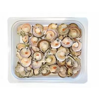 Queen Scallop Half Shell
