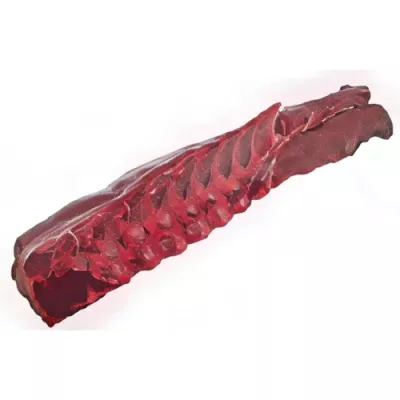 Halved sadle of hunted deer