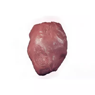 deboned shoulder of hunted roe deer