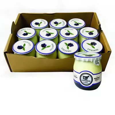 Blueberry Yogurt Organic