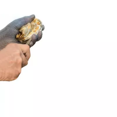 Oyster knife with plastic handle