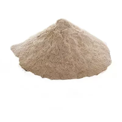 Organic wholemeal rye flour (Secale cereale)