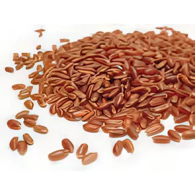 Camargue red rice