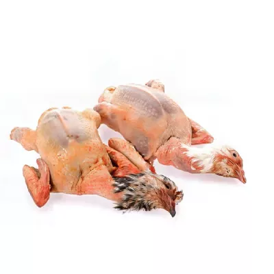 Guinea fowl breast (wingless)