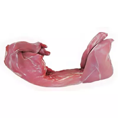 Headless hunted wild rabbit