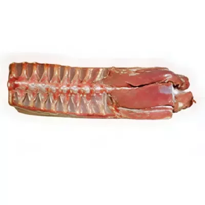 Hunted wild boar saddle